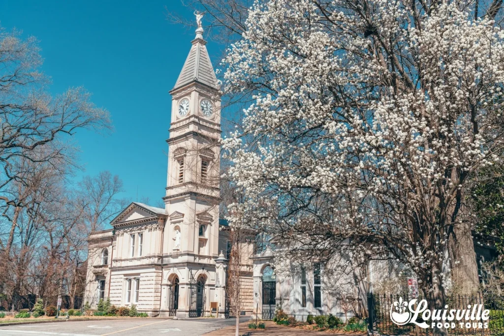 A tall, historic stone clock tower building stands next to a large tree blooming with white flowers against a blue sky.