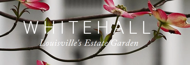 Text reading "WHITEHALL Louisville’s Estate Garden" overlaid on a branch of pink dogwood flowers.